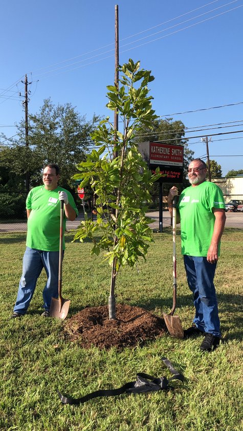Volunteers plant a tree in the Houston area. Trees for Houston tries to provide trees which are indigenous to the area.